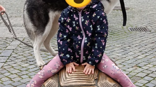 Bunda Lupilu