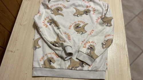 Mikina Dino